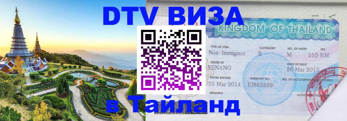 Оформление DTV визы под ключ: стоимость и тарифы, только загранпаспорт - 09.01.2026 